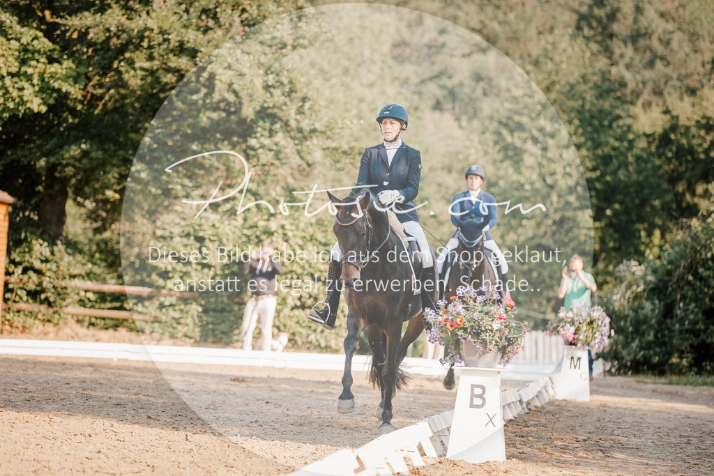 3I6A8534 | Stimmungsvolle Portraits und Reitsportfotografie im Ruhrgebiet und im Münsterland.

Pferdefotografie, Hundefotografie, Tierfotografie, Reportagen, Portraits von Tier und Mensch, Turnierfotografie in Bochum, Recklinghausen, Marl, Haltern am See, Dülmen.. - Realisiert mit Pictrs.com