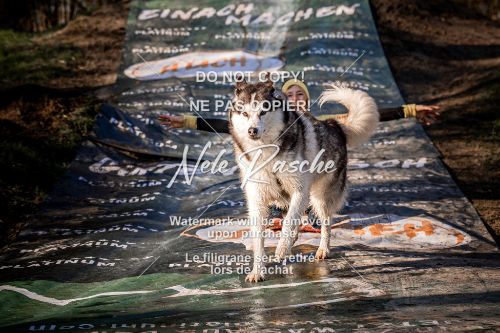 nelerasche_CCNL26_So0800-0945_261 | nelerasche