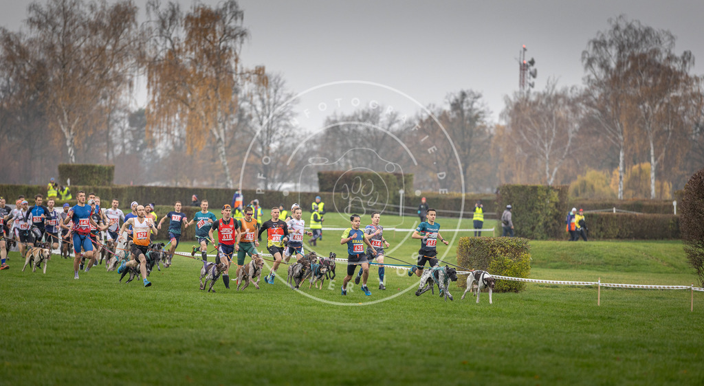 CaniXpix_DV3A9421 | Hundefotografie, Tierfotograf, Pfotenfotografie, Fotoshooting Hund, Hunde Portrait, Hundesport, Hundeportraits, Heideshooting, Hunde, Sportfotograf, Hundefotograf, Turnierhundsport, THS,  - Realisiert mit Pictrs.com