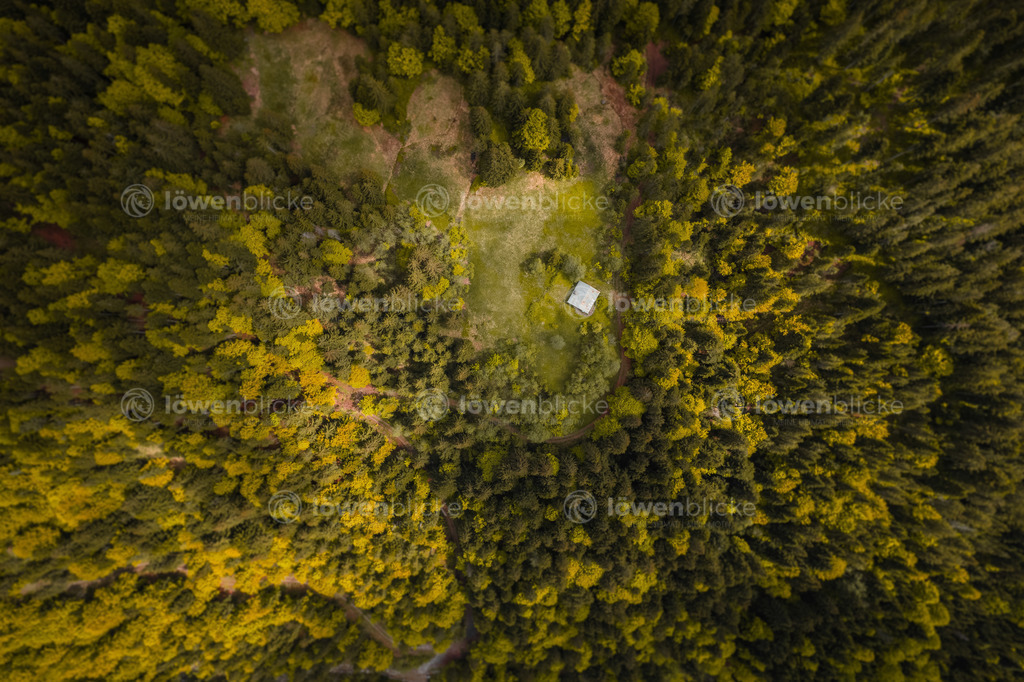 Waldhütte in Ellmau im Sommer | löwenblicke | shop