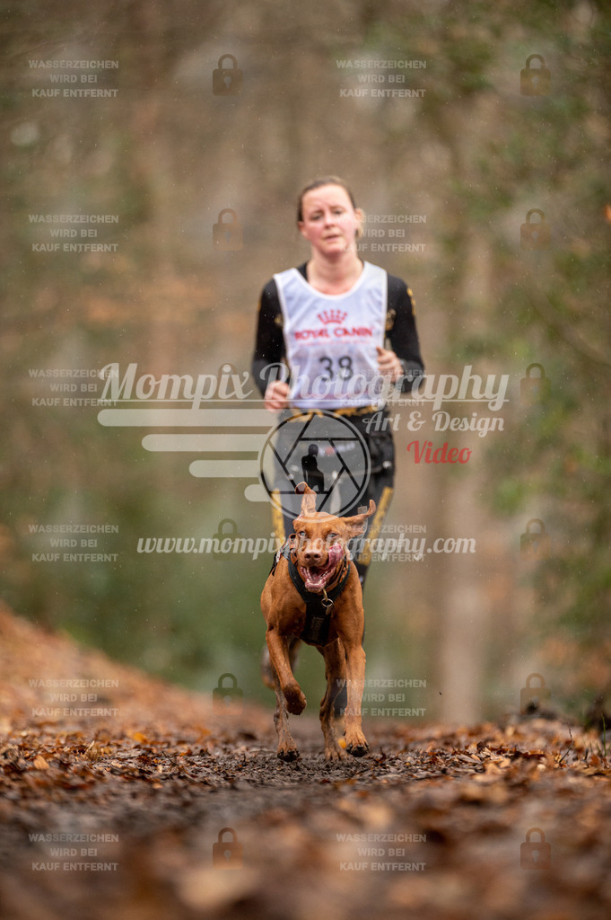 SPA_2023_DIM_CCL-85 | PayLife