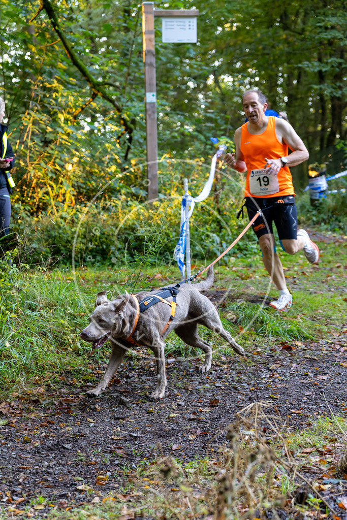 Pfotenfotografie_DV3A6436 | Hundefotografie, Tierfotograf, Pfotenfotografie, Fotoshooting Hund, Hunde Portrait, Hundesport, Hundeportraits, Heideshooting, Hunde, Sportfotograf, Hundefotograf, Turnierhundsport, THS,  - Realisiert mit Pictrs.com