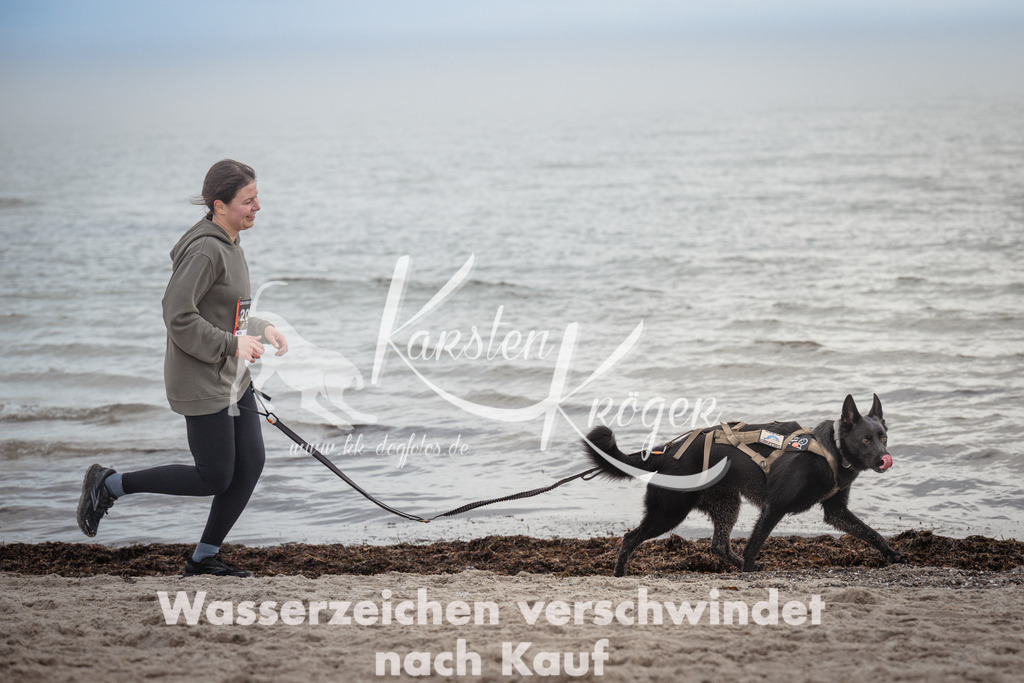 1149_ZZ91905 | kk-dogfotos