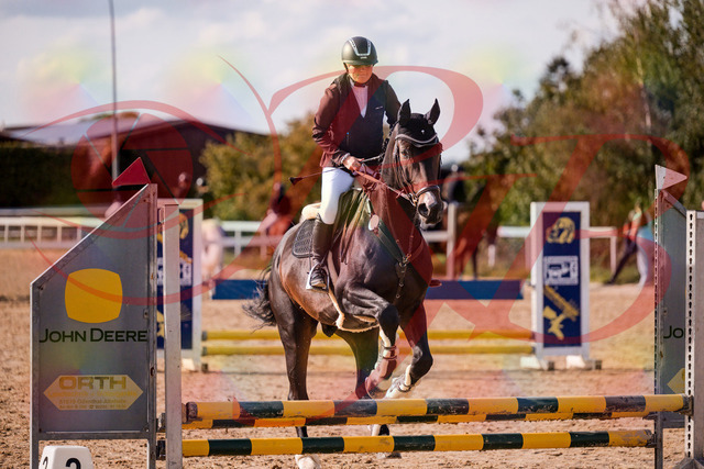 2026_10_03_Siefer-Hof_154258_Z81_60660132 | Professionelle Reitsport-, Turnier- und Eventfotografie von Robert Broda. Galerien mit ausgewählten und bearbeiteten Bildern direkt online ansehen und bestellen.