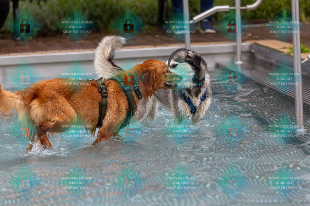 _HP_6263_1000o | HetPix, HetPix Fotodesign, Fotografie, Fotodesign, Webshop, Sportfotografie, Portraitfotografie, Onlineshop, Sportfotografie, Polch, Motorsportfotografie, Eventfotografie