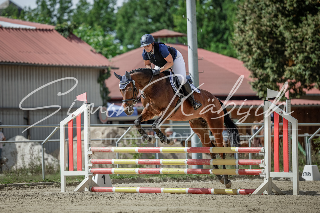20250906-_3LI6067 | Tierfotografie Pferde, Hunde, Katzen, Haustiere.
Turnierfotografie Reitturniere, Reiten, Springreiten, Dressur in Hanau, dem Main-Kinzig-Kreis und dem Rhein-Main- Gebiet um Frankfurt