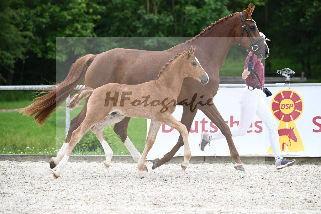 Vivaldos x Belissimo M_HF_Baier_20240241 | hf-fotografie - Realizzato con Pictrs.com