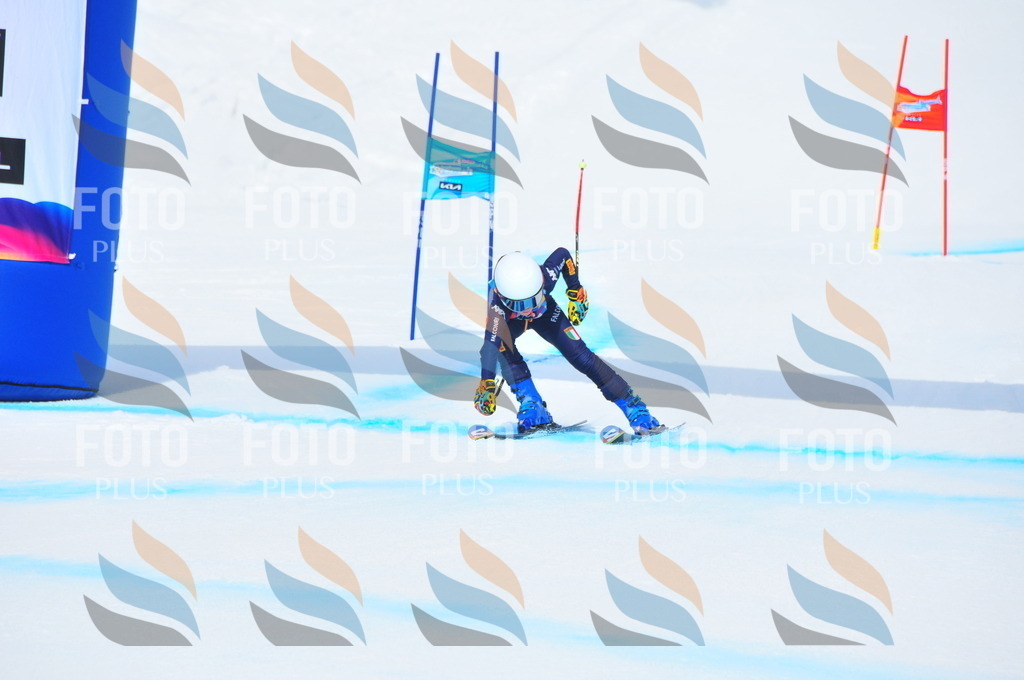 DSC_1864 | holidayphoto