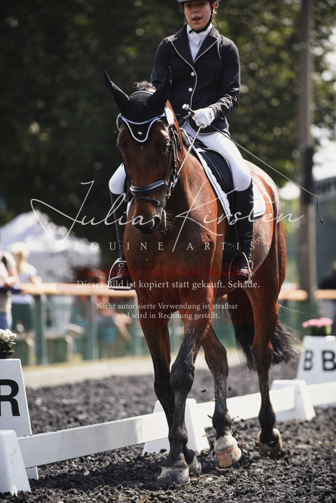 DSC_4137 | Pferde- und Turnierfotografie in Westsachsen. Pferdeportraits, Auftragszeichnungen und intuitive Kunst.
