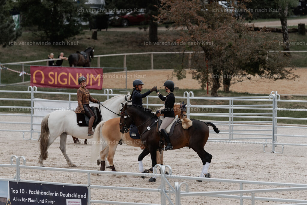 WE__Stoib_Rinder_PI2025_3086 | Pferd International München 2025