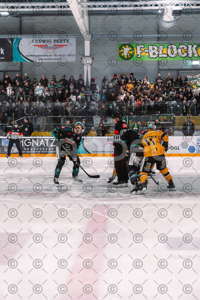 Alligators_vs_Toelz_18_11_2025-29 | Höchstadt Alligators Fotogalerie: Eishockey-Action aus Franken. Professionelle Spielfotos, Portraits & Stadionbilder zum Download. Jetzt entdecken! - Realisiert mit Pictrs.com