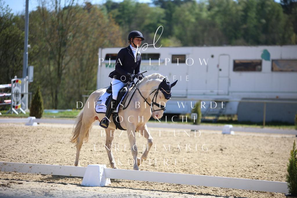 IMGT1293 | pl-fotografie