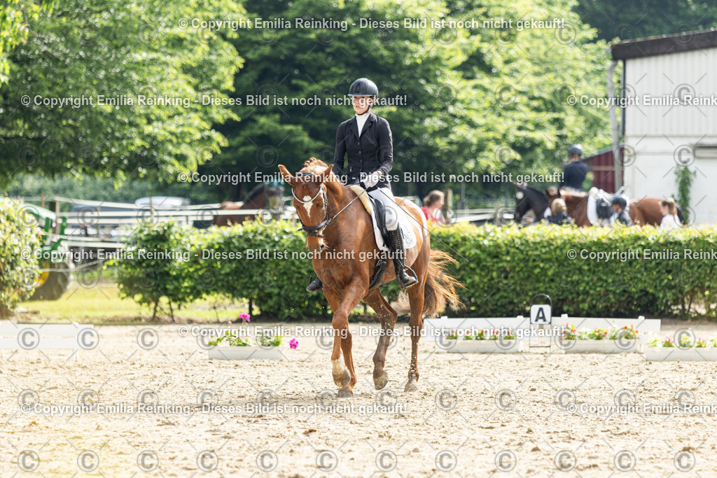 CL5A4504 | Emilia Reinking Fotografie - Realisiert mit Pictrs.com