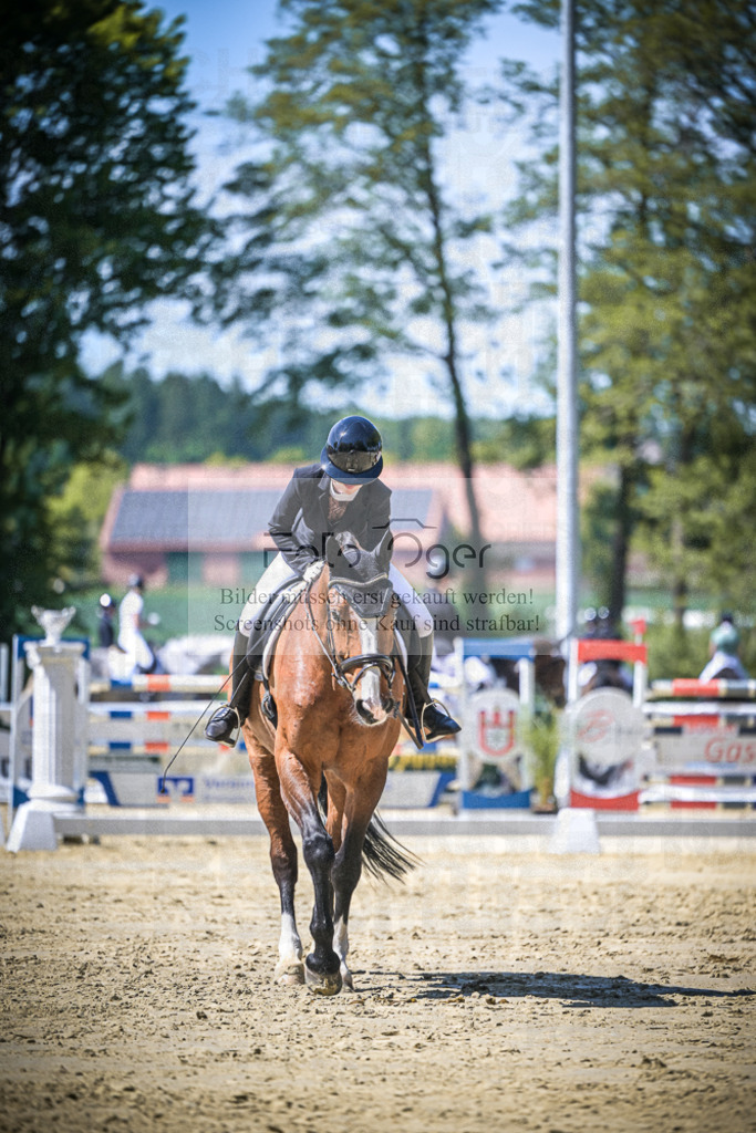 DOS_8540 | Entdecke hochwertige Reitturnierfotos von Foto Oger. Professionell, emotional und authentisch – jetzt Lieblingsmomente im Shop bestellen.Deutschlandweite Turnierfotografie. - Realisiert mit Pictrs.com