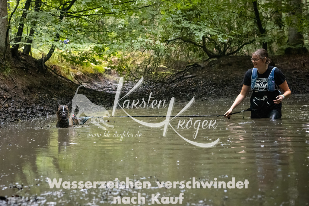 1242_ZZ91241-Bearbeitet | kk-dogfotos
