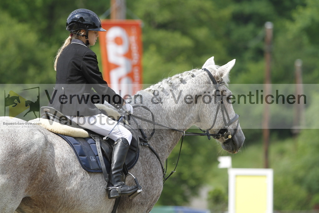 _MG_4582 | equestrian-live-com