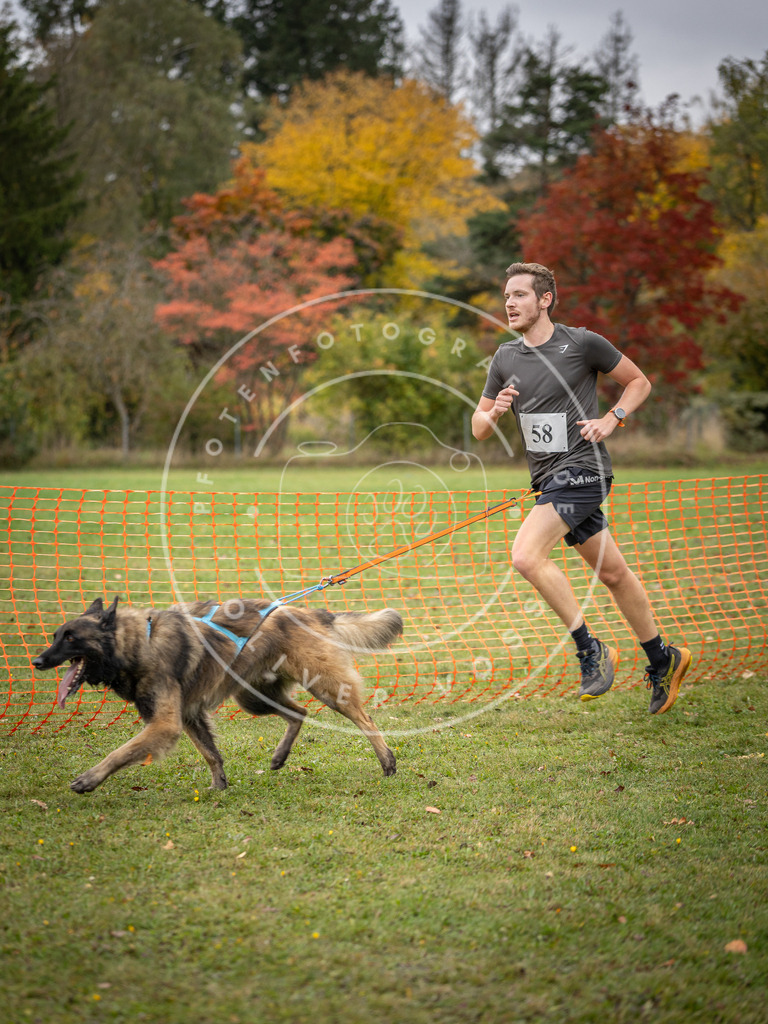 Pfotenfotografie_DV3A2620 | Hundefotografie, Tierfotograf, Pfotenfotografie, Fotoshooting Hund, Hunde Portrait, Hundesport, Hundeportraits, Heideshooting, Hunde, Sportfotograf, Hundefotograf, Turnierhundsport, THS,  - Realisiert mit Pictrs.com