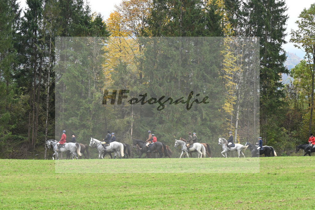 5622590 | hf-fotografie - Realizzato con Pictrs.com