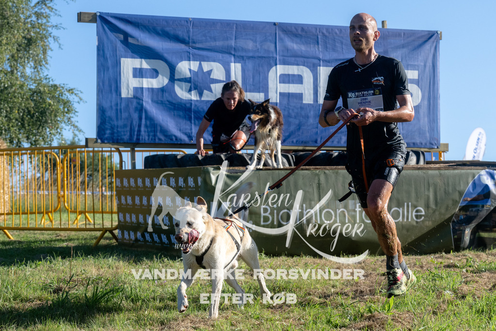 0833_ZZ94279 | kk-dogfotos