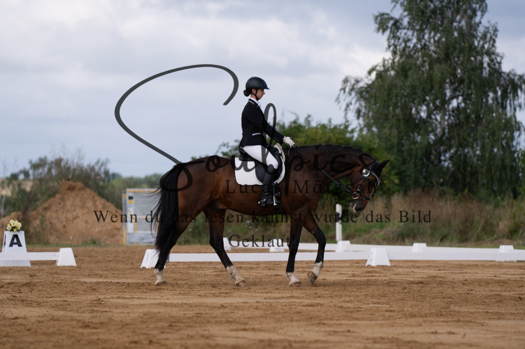 A7V05177 | Pferdefotograf