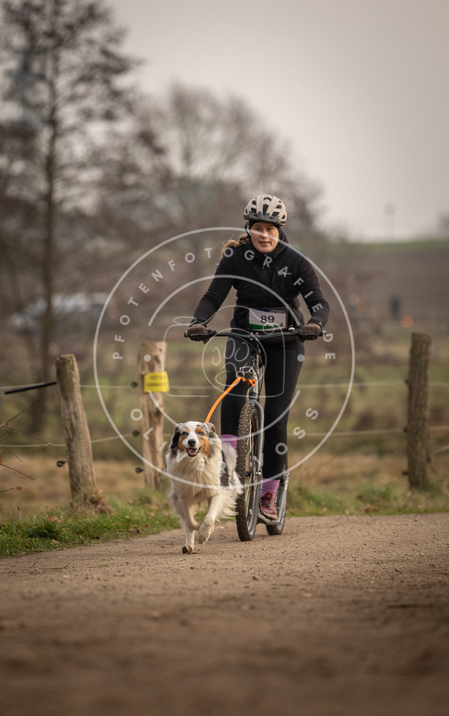 Pfotenfotografie_DV3A4188 | Hundefotografie, Tierfotograf, Pfotenfotografie, Fotoshooting Hund, Hunde Portrait, Hundesport, Hundeportraits, Heideshooting, Hunde, Sportfotograf, Hundefotograf, Turnierhundsport, THS,  - Realisiert mit Pictrs.com