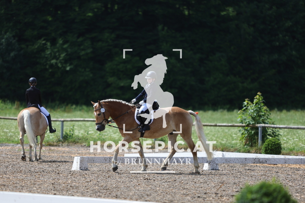 0P6A0484 | Willkommen bei Brunnmayr - Design & Fotografie – Ihrem Spezialisten für Reitturniere und Pferdeveranstaltungen in Oberösterreich, Salzburg und Bayern! Seit über 17 Jahren sind wir leidenschaftlich dabei.