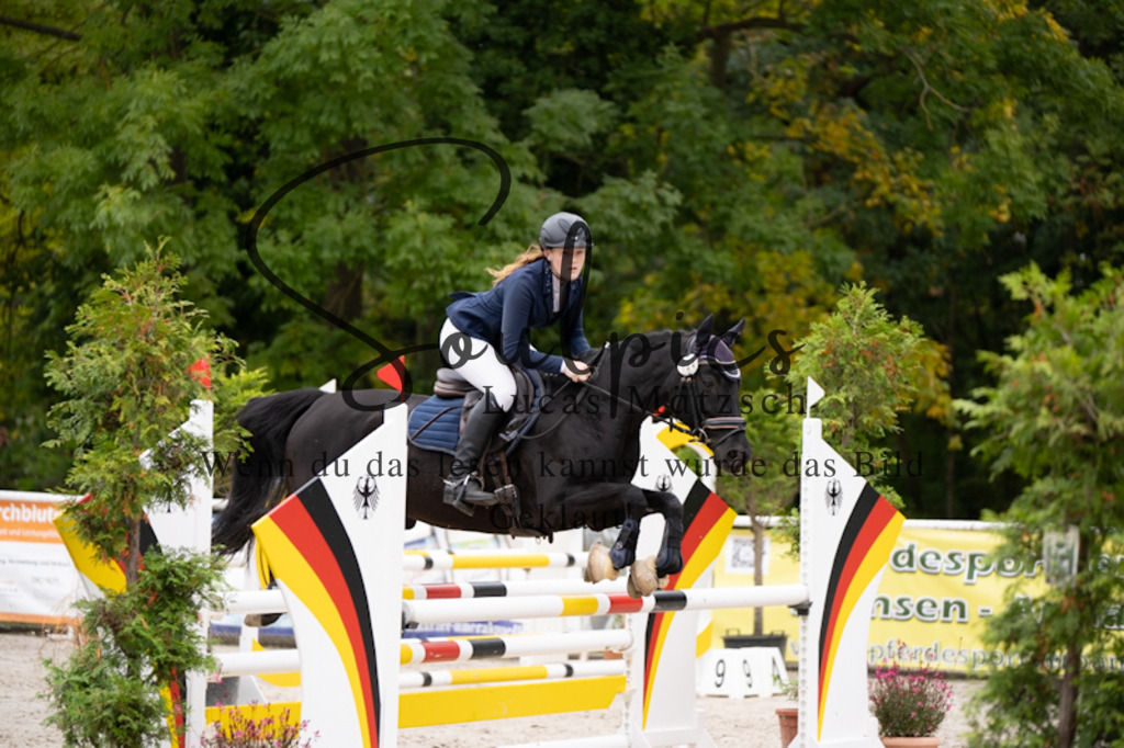 A7V09420 | Pferdefotograf