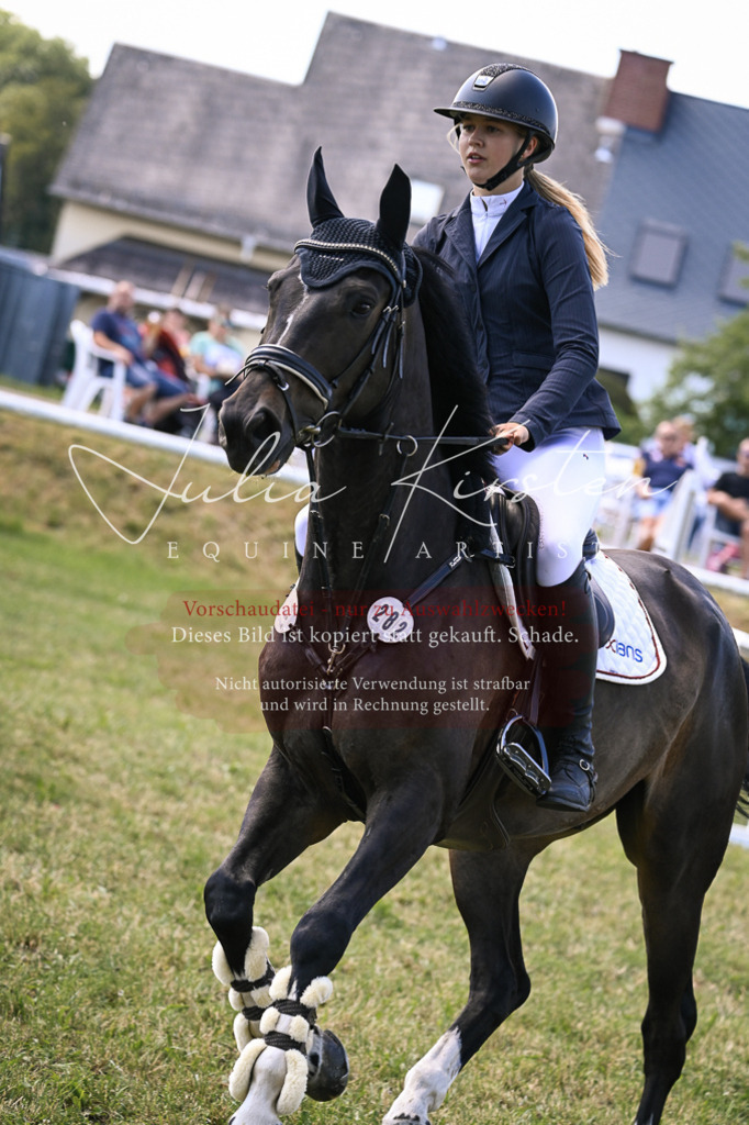 DSC_0301 | Pferde- und Turnierfotografie in Westsachsen. Pferdeportraits, Auftragszeichnungen und intuitive Kunst.