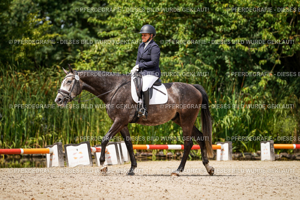 DSC03504 | Pferdegrafie