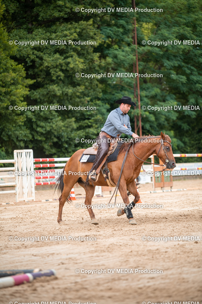 ZS2_8479 | dv-media-shop - Realisiert mit Pictrs.com