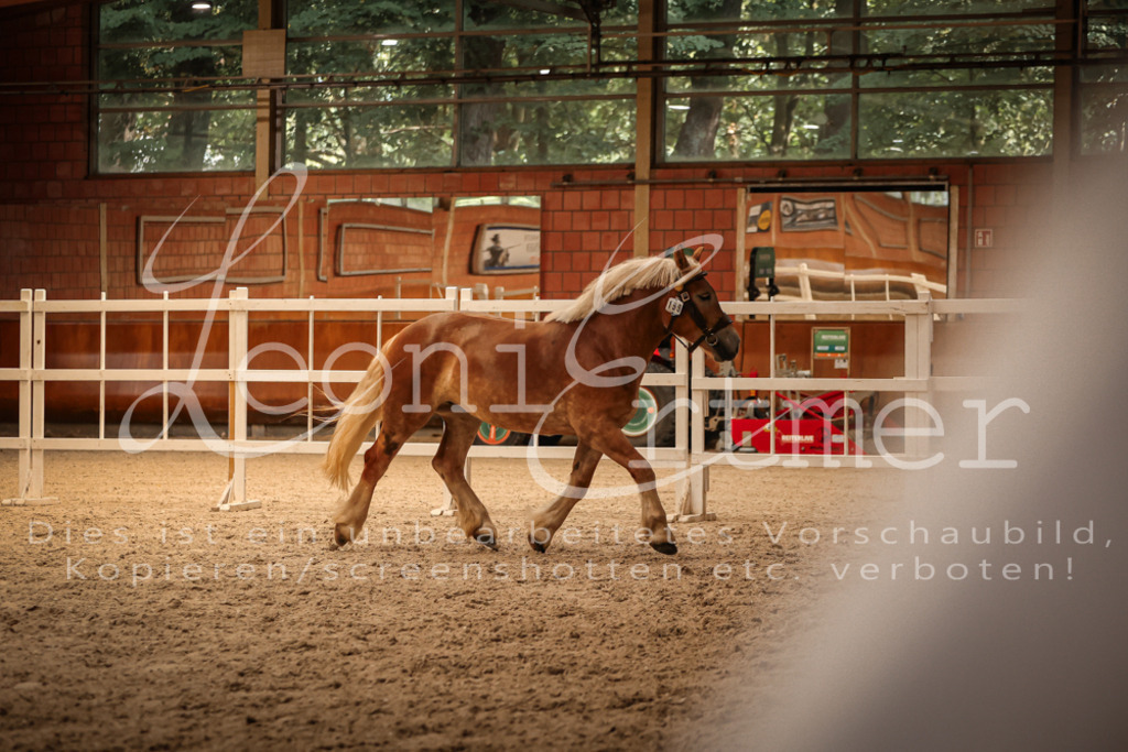 SaFL00408 | Leoni Ertmer Photography - Realisiert mit Pictrs.com