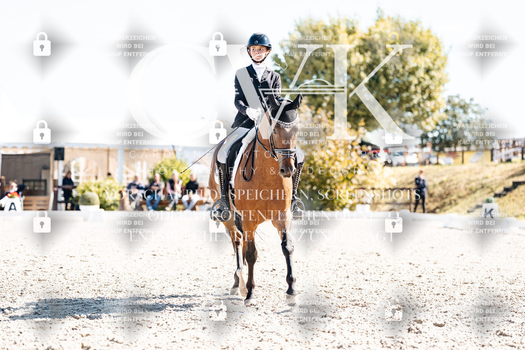CK909284 | Turnierfotografie Pferdefotografie Trier Rheinland-Pfalz Pferdesport Reitsport Tierfotografie Sportfotografie Pferdevideo Pferdevideografie Equestrianvideography equestrianphotography  - Realisiert mit Pictrs.com