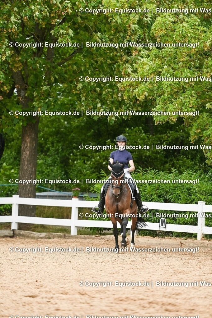 20230716_01_Dressurprüfung Kl.M_0430 | equistock
