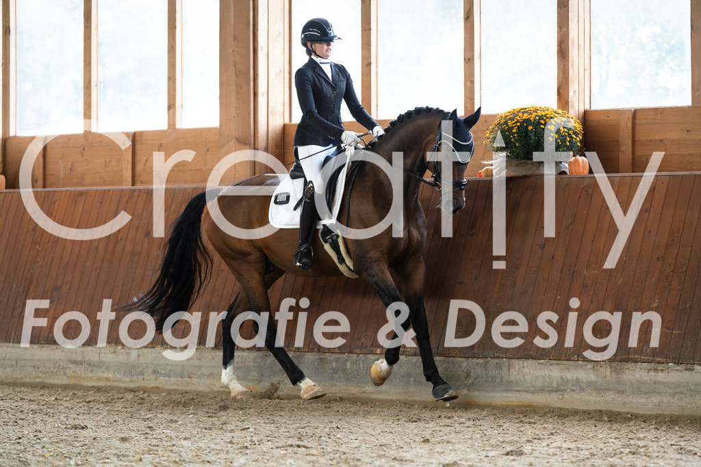 IMG_1819 | Creatify Fotografie