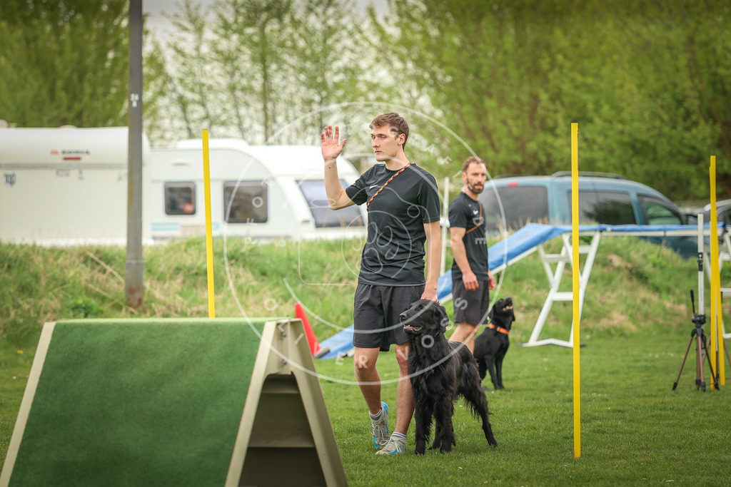 Pfotenfotografie_0L8A0314 | Hundefotografie, Tierfotograf, Pfotenfotografie, Fotoshooting Hund, Hunde Portrait, Hundesport, Hundeportraits, Heideshooting, Hunde, Sportfotograf, Hundefotograf, Turnierhundsport, THS,  - Realisiert mit Pictrs.com