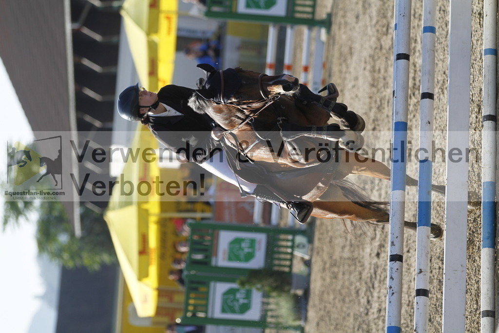 _MG_4156 | equestrian-live-com