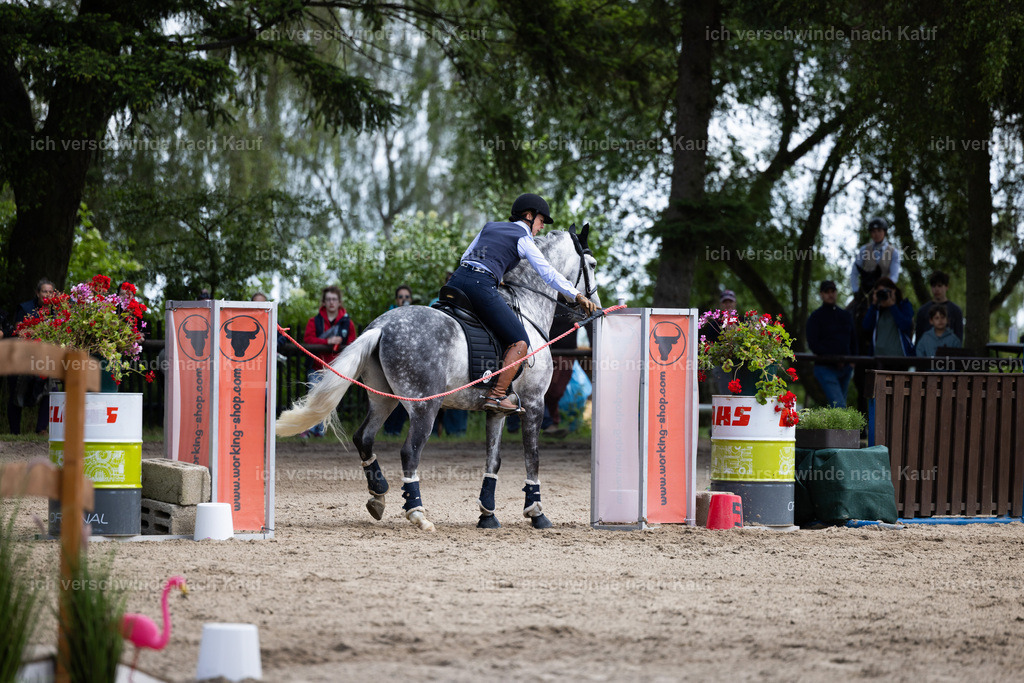 Masterclass_stoibphotography_C2_C8367.CR3 | working equitationturnier fotograf videograf stoibphotography marixx film working equitation deutschland reitsport turnierfotografie eventfotografie equestrian events