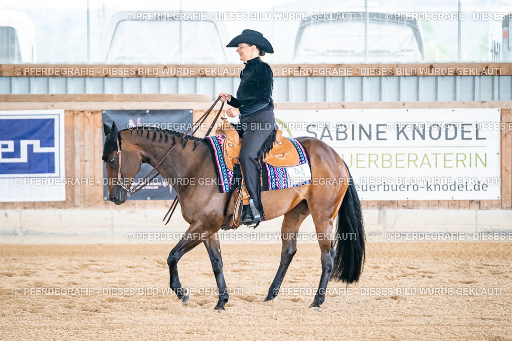 DSC01714 | Pferdegrafie