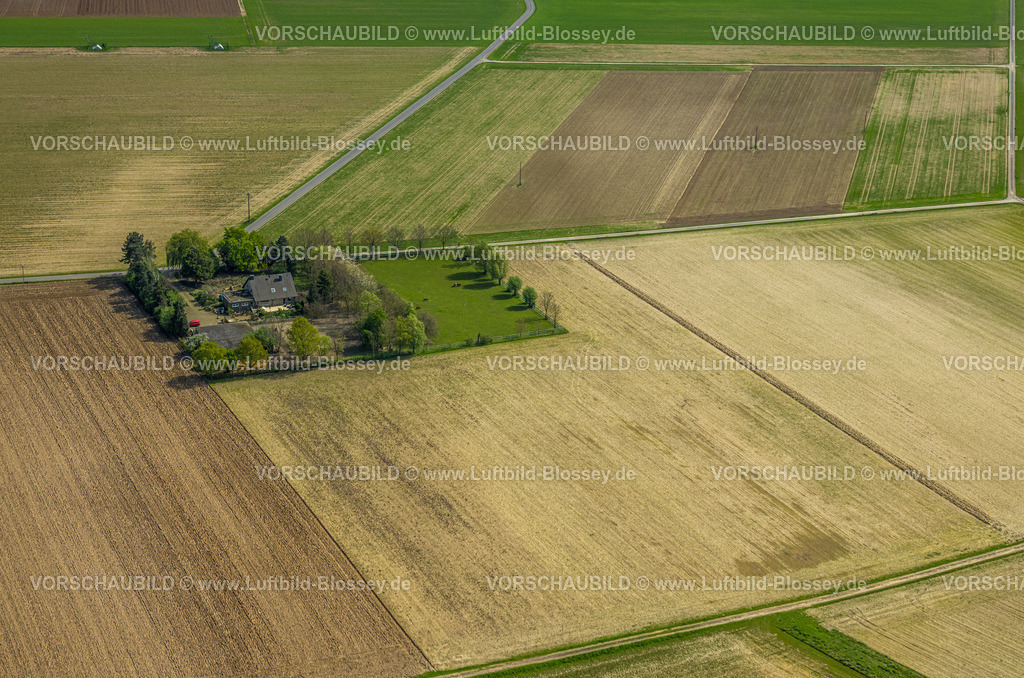Wesel240402147RheinvorlandPerrich | Luftbild, Rheinvorland Perrich, Wiesen und Felder und Wohnhaus umgeben von Bäumen, Ginderich, Wesel, Niederrhein, Nordrhein-Westfalen, Deutschland