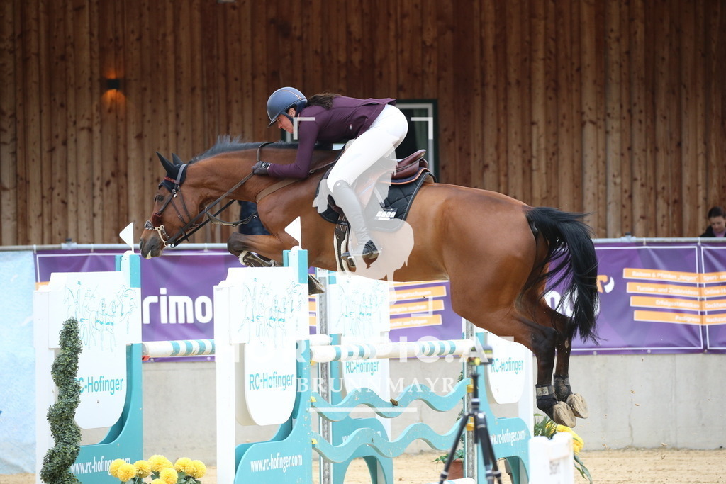 DL2Q3343 | Willkommen bei Brunnmayr - Design & Fotografie – Ihrem Spezialisten für Reitturniere und Pferdeveranstaltungen in Oberösterreich, Salzburg und Bayern! Seit über 17 Jahren sind wir leidenschaftlich dabei.