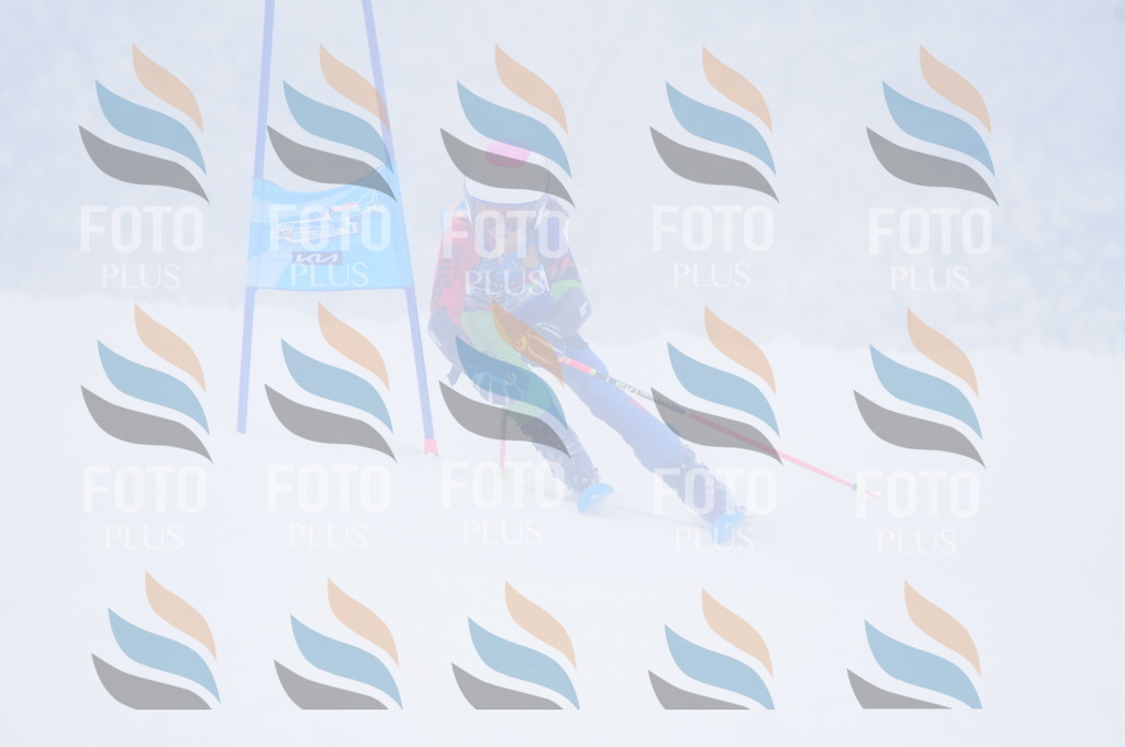 C3525 | holidayphoto