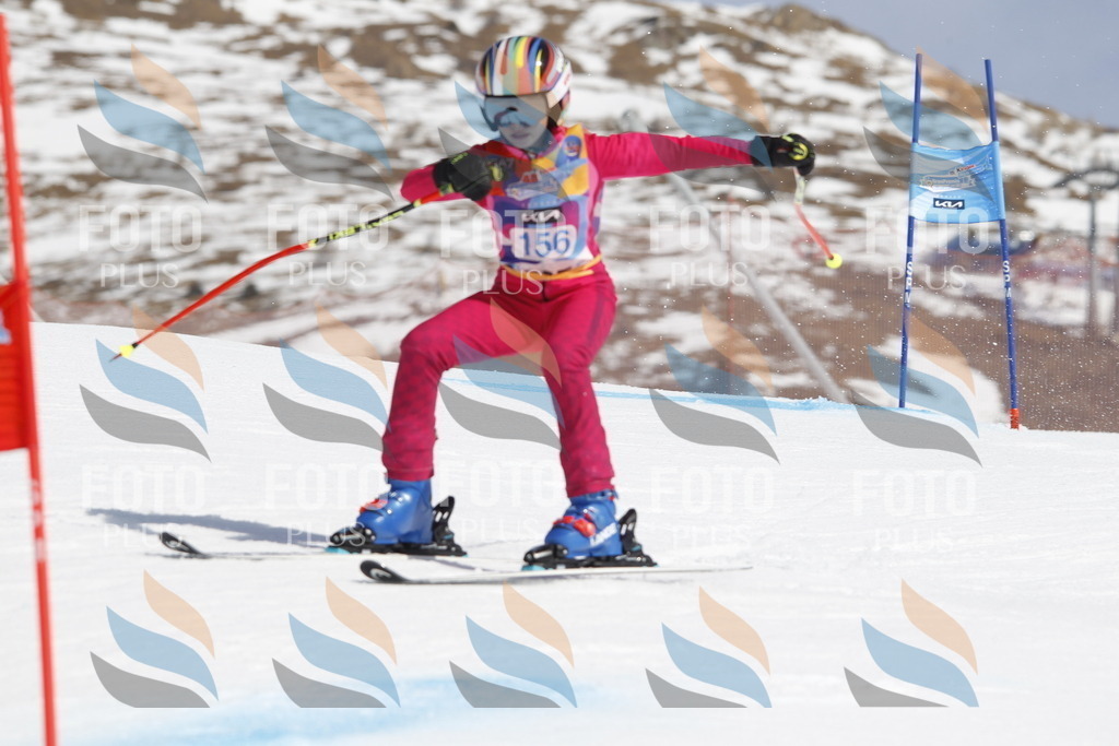 _U3G1342 | holidayphoto