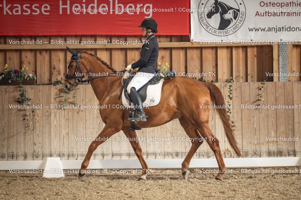 _D5A1142 | Emotionale Pferde- & People-Fotografie rund um Heidelberg, Leimen & Umgebung. Natürliche Fotos von Pferd, Mensch & Familie. Jetzt Termin sichern!