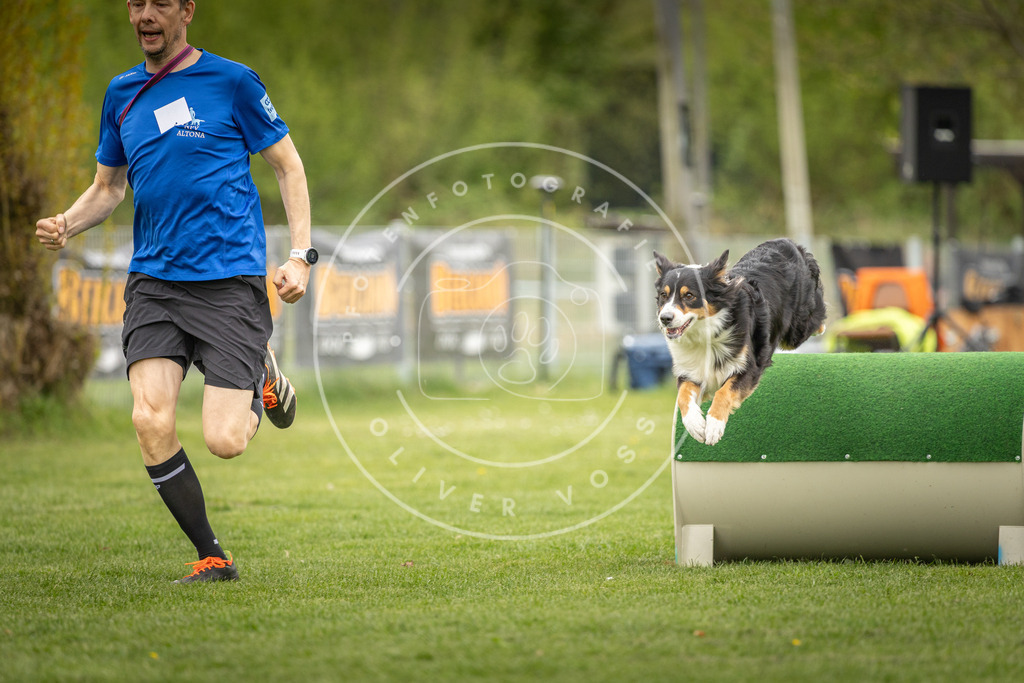 Pfotenfotografie_DV3A1471 | Hundefotografie, Tierfotograf, Pfotenfotografie, Fotoshooting Hund, Hunde Portrait, Hundesport, Hundeportraits, Heideshooting, Hunde, Sportfotograf, Hundefotograf, Turnierhundsport, THS,  - Realisiert mit Pictrs.com