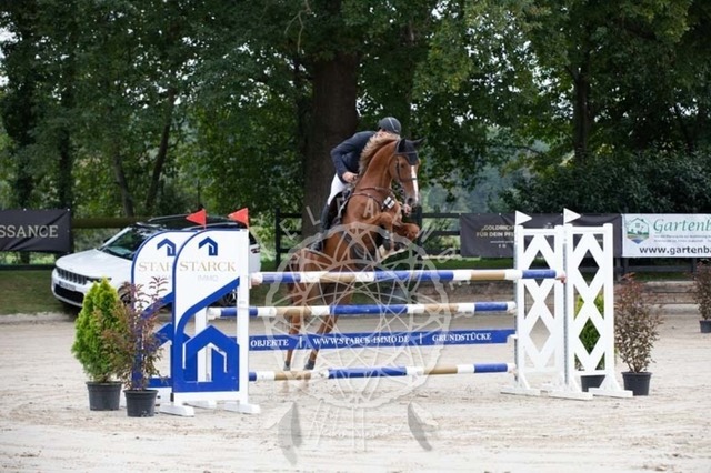 2B4A2386 | pixelfaenger - Realisiert mit Pictrs.com