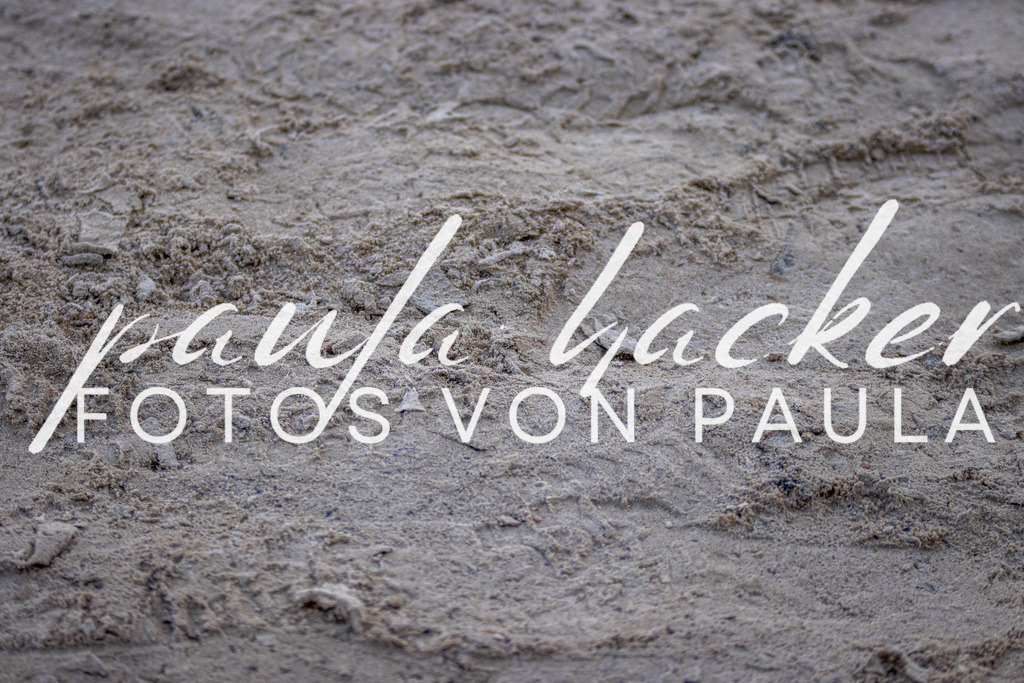 IMG_4532 | Erleben Sie dynamische Sport- und emotionale Tierfotografie in Süddeutschland mit Fotos von Paula. Spezialisiert auf Pferde- und Hundefotografie sowie Sportevents. Kontaktieren Sie mich für einzigartige und ausdrucksstarke Bilder Ihrer besonderen Momente. - Realisiert mit Pictrs.com