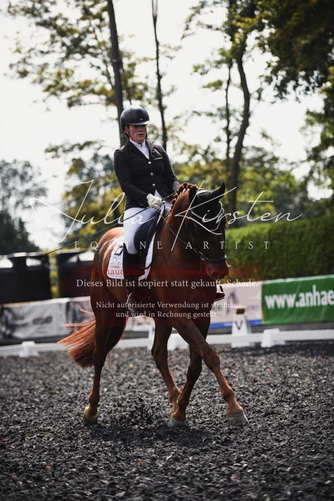 DSC_4184 | Pferde- und Turnierfotografie in Westsachsen. Pferdeportraits, Auftragszeichnungen und intuitive Kunst.