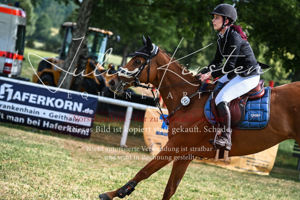 DSC_7833 | Pferde- und Turnierfotografie in Westsachsen. Pferdeportraits, Auftragszeichnungen und intuitive Kunst.