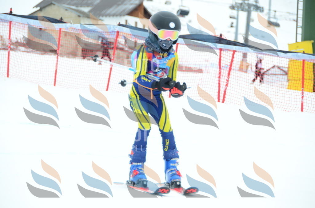 DSC_0913 | holidayphoto