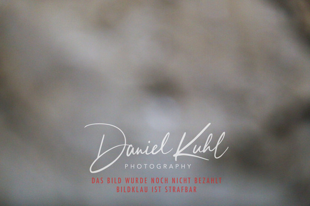 IMG_7893 | Turniersportfotografie; Pferdefotografie; Dressurfotografie